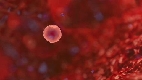 Cells dividing with infographicks, colourful high quality 3d animation 4k