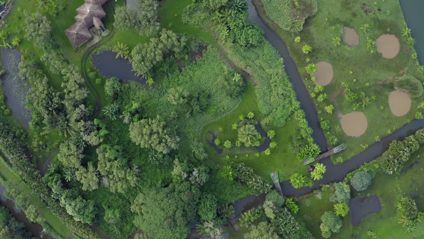 Green lush Hawaiian wetlands landscape in aerial overhead drone view. Hanalei Bay Kauai river, houses and fields in beautiful surroundings 