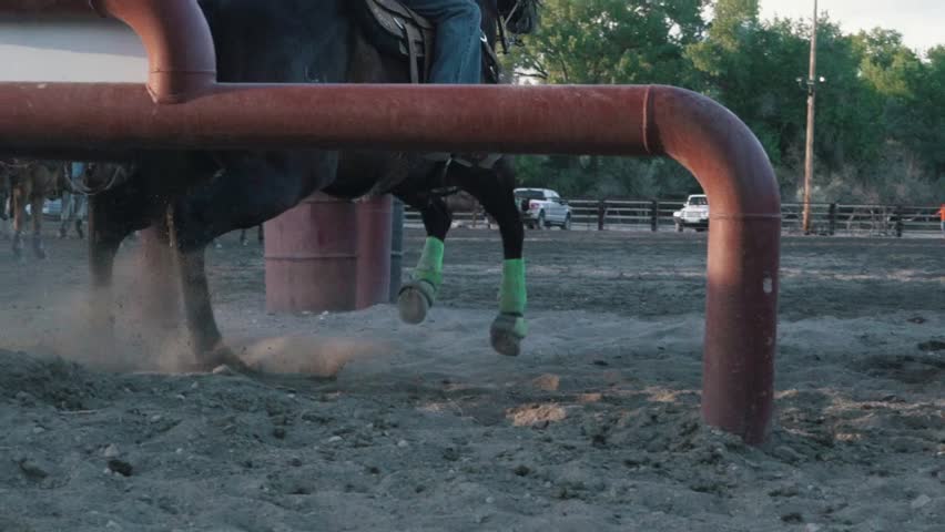 Salina, United States - 01 05 2019: Horse running