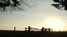 A silhouette of a young boy runs past a gate in slow motion at sunset
