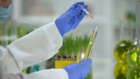 Chemist adding liquid in tube with plant extract, biofuel production, ecology - Powered by Shutterstock - Get 15% off with code: PIKWIZARD15