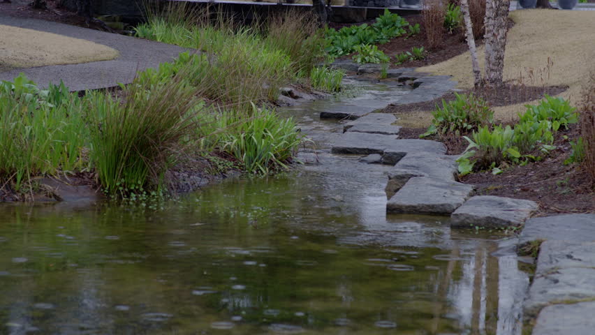 Creek in a park in Birmingham, Alabama