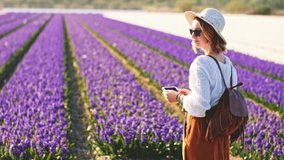 Woman Taking Pictures Of Blooming Flower Fields View In The Netherlands In Spring. SLOW MOTION. Happy Tourist girl taking photos of blossoming hyacinth field with smartphone. 