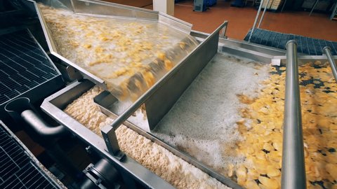 Factory equipment frying potato chips in a special machine.