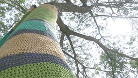 Tree trunks decorated with (dressed in) beautifully knitted creations in various colors - Powered by Shutterstock - Get 15% off with code: PIKWIZARD15
