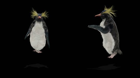 Penguin Cg Fur 3d Rendering の動画素材 ロイヤリティフリー Shutterstock