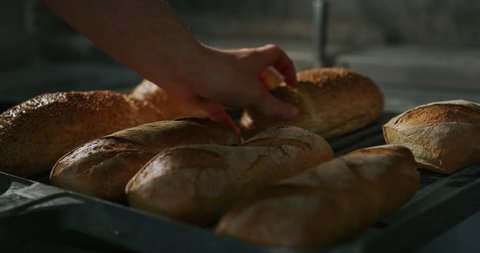 Slow motion close up of a baker pulling out from the oven warm fresh bread just made in a bakery.