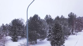 Lonely street lamp in snowfall. Clip. Top view of simple street lamp dimly shining on road in coniferous park in beautiful snowfall