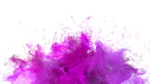 Magenta Pink Color Burst - colorful smoke explosion fluid particles slow motion alpha matte isolated on white