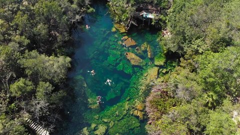 An overhead shot of the jungle and the El Jardin del Eden cenote filled with swimmers.
