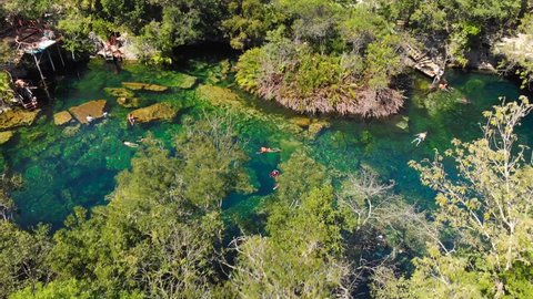 An overhead shot of the jungle and the El Jardin del Eden cenote filled with swimmers.