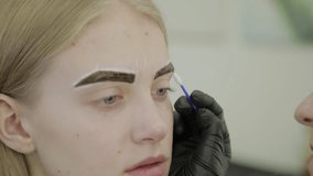 Makeup artist makes eyebrow staining with natural dyes, toning with henna, cosmetic procedures in the beauty salon.