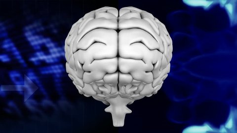 Digital animation of grey brain with two different background, the left one composed of binary codes and graphics and the right side with a animated blue waves 