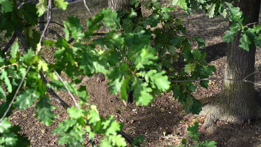 Mature couple on a walk in an spring nature