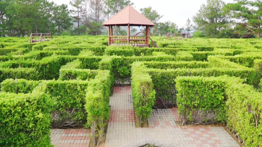 Traveler woman walking in to maze garden