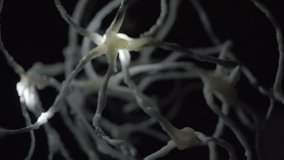 Real video of neuron cells network flashing firing communicating with each other. shot in studio with slog. synapse of nervous system simulation