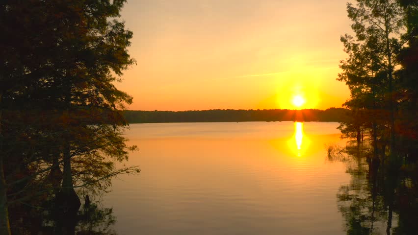 Panning drone shot around a tree of the tranquil stumpy lake in the Virginia Beach area with the sun setting in the horizon