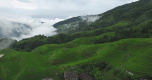 Aerial video in an amazing landscape, with drone, above rice terraces.