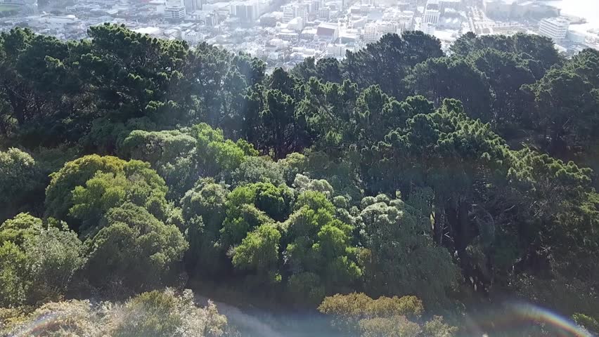 Aerial footage of Wellington City, New Zealand. 