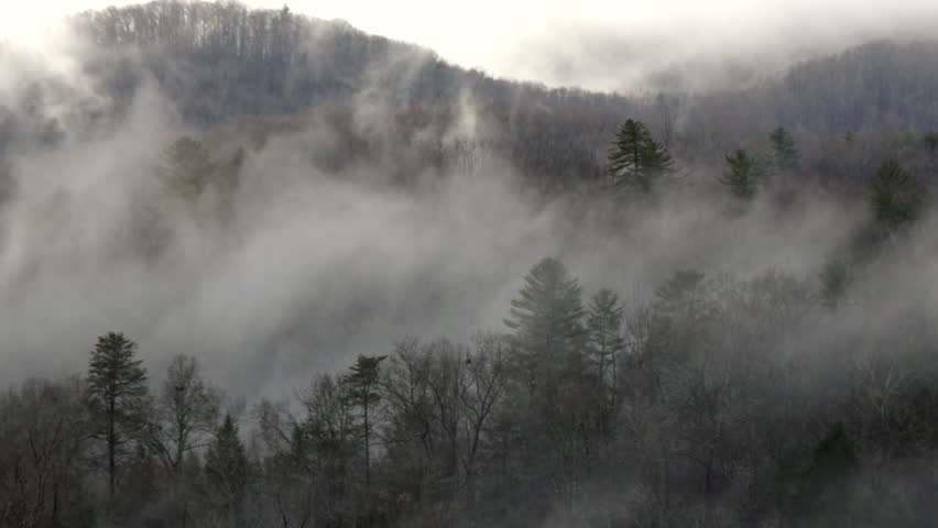 Morning Fog and Mist Rolling Through the Mountains (near Blue Ridge, Georgia - part of Appalachian Mountains)