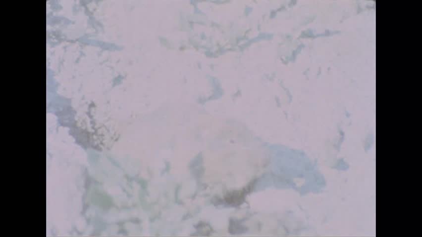 CIRCA 1980s - A close-up shows a gopher digging on a mountainside. -
