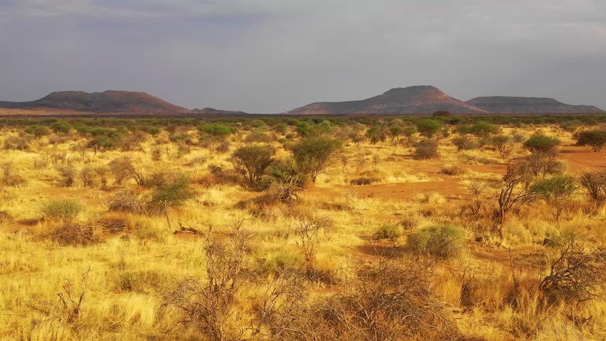 Sunset over the Plains landscape in Kenya image - Free stock photo ...