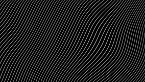 Black and white wave loop animation.  Geometric lines seamless patterns motion background. Video footage 4k.