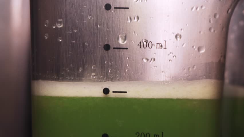 Vegetable Juice Raw Food. Preparing Fresh Celery Juice in Squeezer Extracting Pulp. Antioxidant Vegan Plant Based Diet for Cleansing Body and Weight Loss