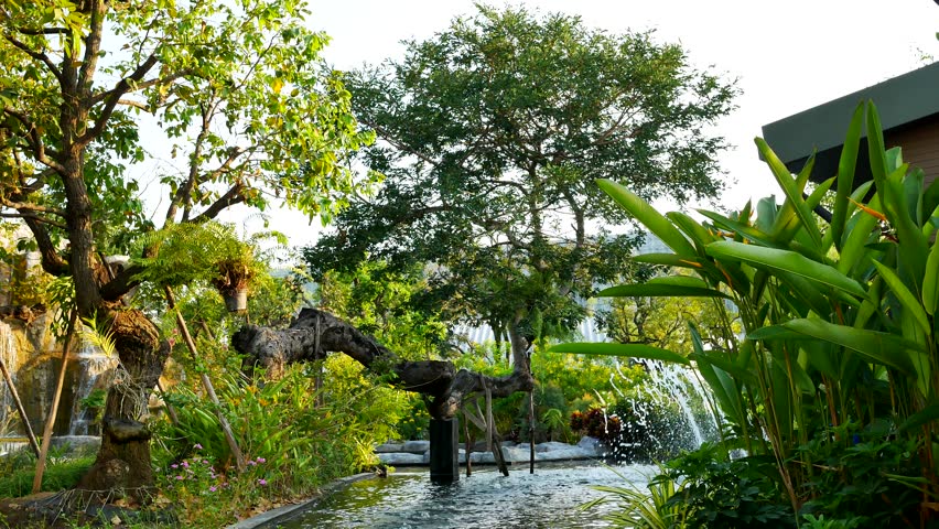 waterfall in garden