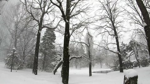 Falling snow in a winter park,Hokkaido japan.