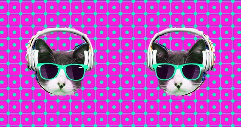 Minimal animation design. Funny Dj cat music headphones vibes