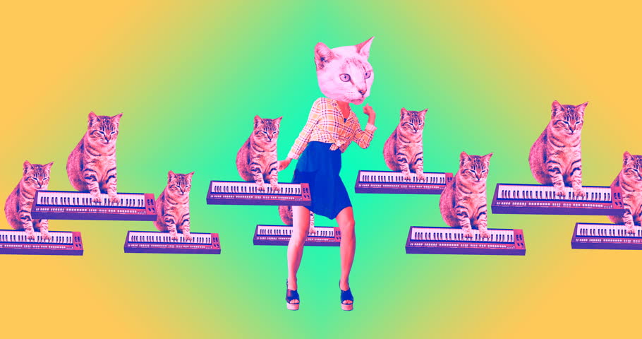 gif animation minimal art kitties having Stock Footage Video (100% ...