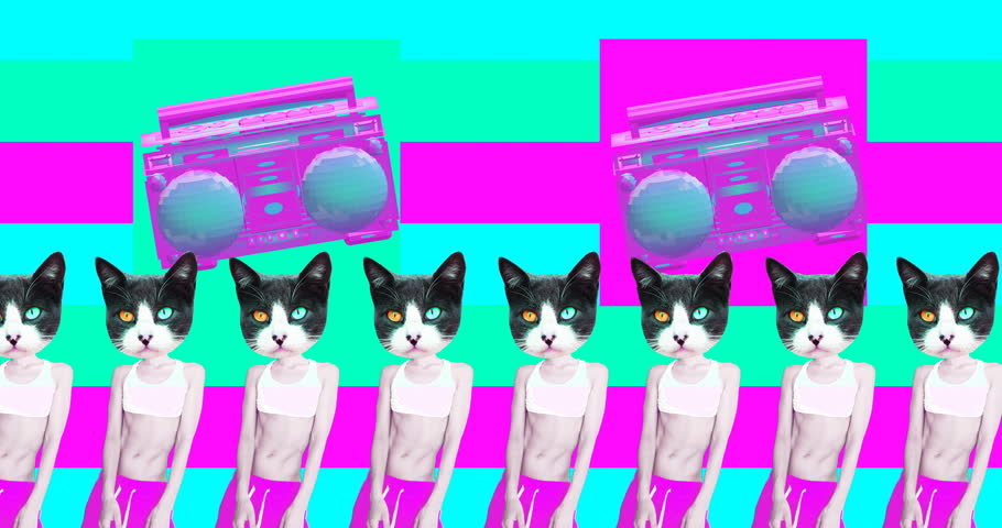 Urban cats. Urban cats