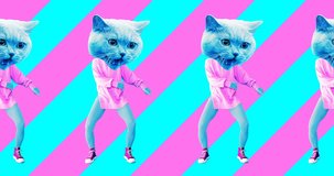 Minimal animation design. Pretty Kitty. Strip lover vibes. Pop and dance mood