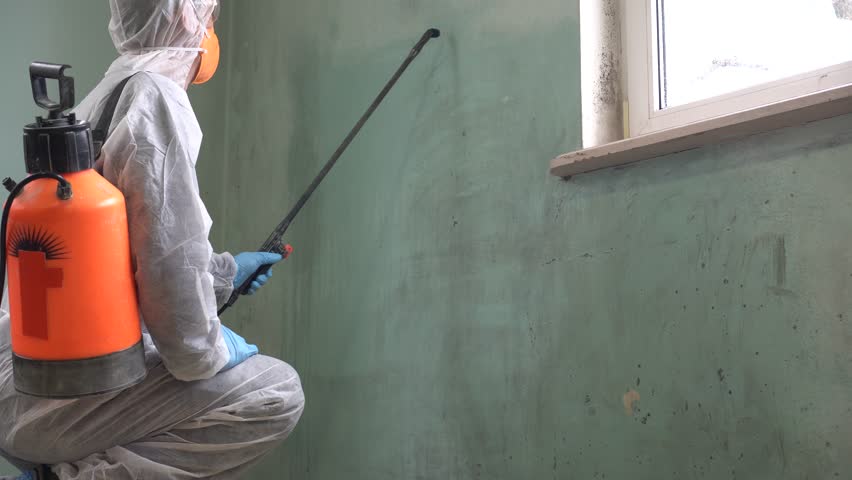 Mold Inspection and Removal in Laguna Niguel  