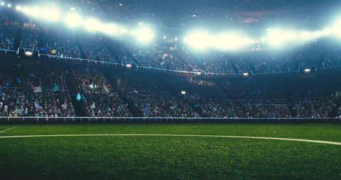 Full 3d modelled and animated soccer stadium with moving flags, people and lights