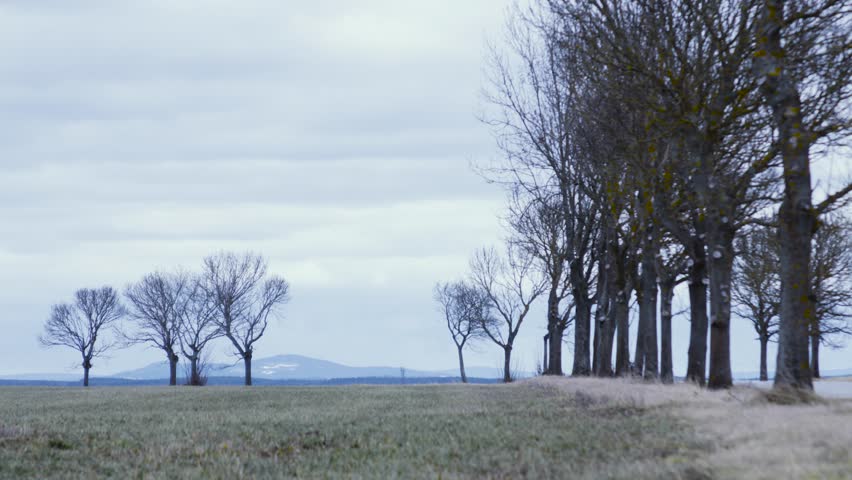 Field, trees, clouds, mountains on the horizon. Landscape. Autumn. Spring. Time lapse.