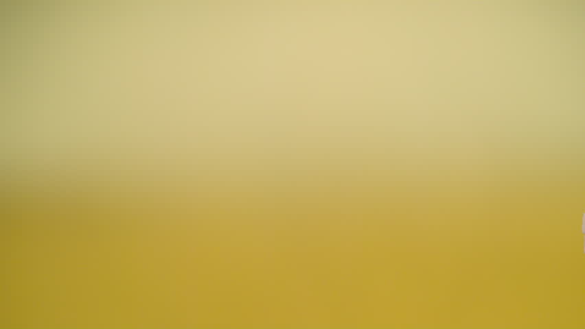 Fruits slices mango and pineapple meet and mix
