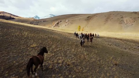 Altai, mountains, autumn, horses