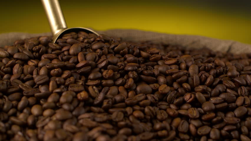shovel takes out coffee beans from pile
