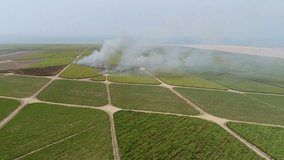 Clearing a sugar cane field in Peru in a desert. South America. AERIAL Video footage