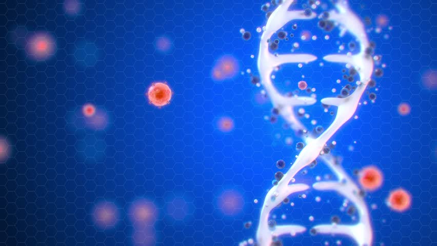 DNA molecule rotates with other small molecules 4k animation Royalty-Free Stock Footage #1025451209
