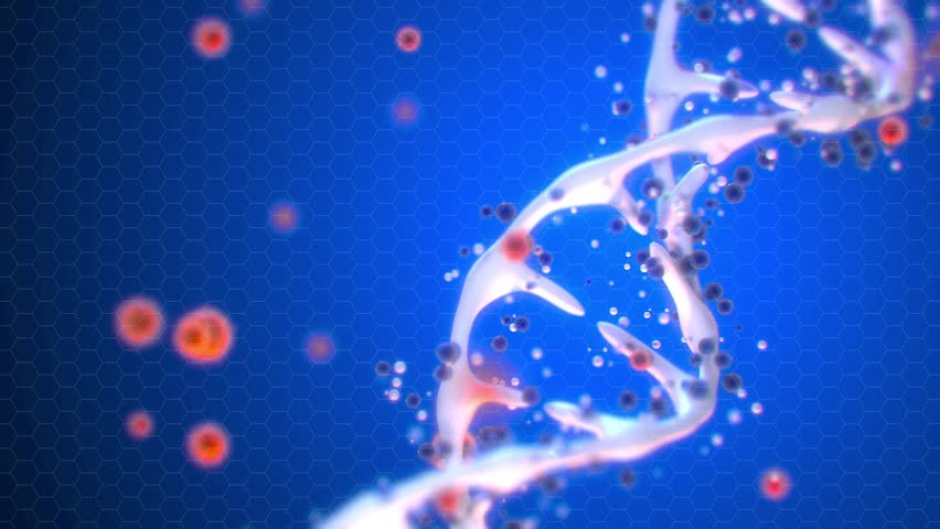 DNA molecule rotates with other small molecules 4k animation Royalty-Free Stock Footage #1025451212