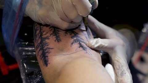 37 Wolf Tattoo Art Stock Video Footage - 4K and HD Video Clips |  Shutterstock
