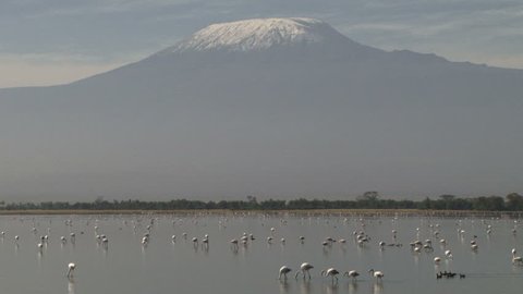A clear view of mount kilimanjaro with flamingos in the background.