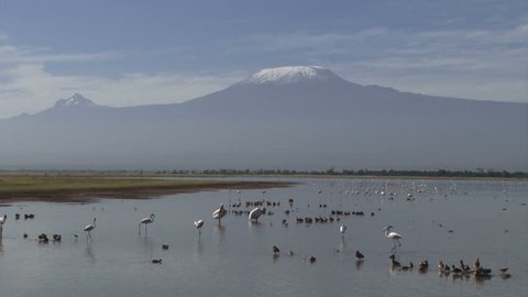 Full scale of mount kilimanjaro showing both peaks.
