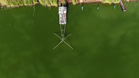 Top view video Flattering for fish on the green lake