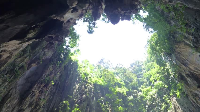 breathtaking view inside mountain cave overgrown Stock Footage Video ...