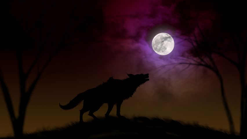 4k : Wolf Howling at the Moon, Silhouette of wolf howling at the full moon