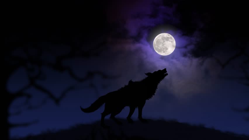 4k : Wolf Howling at the Moon, Silhouette of wolf howling at the full moon